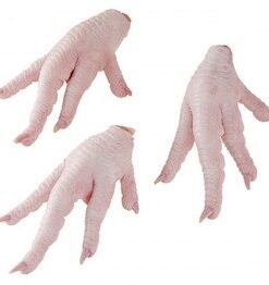 Frozen Chicken Paws